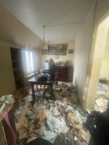 desinfection-diogene-liffol-le-grand