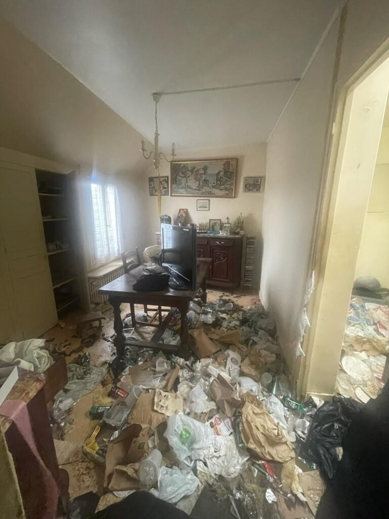 desinfection-diogene-liffol-le-grand