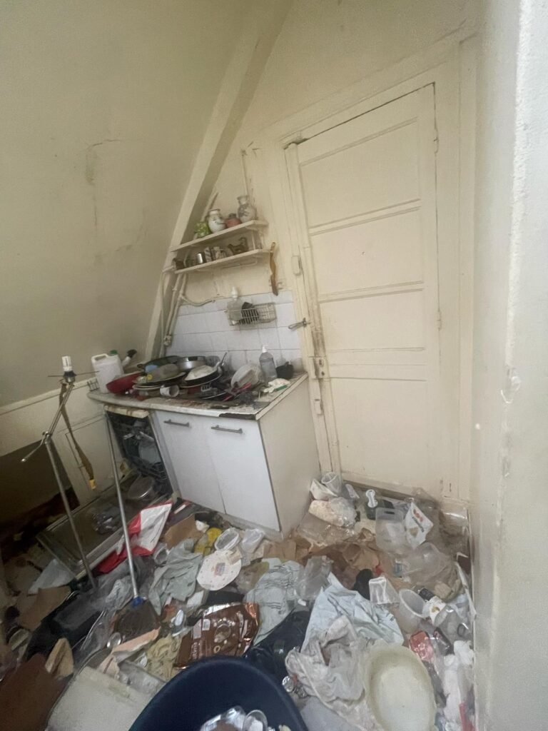 desinfection-mort-naturelle-saint-nabord