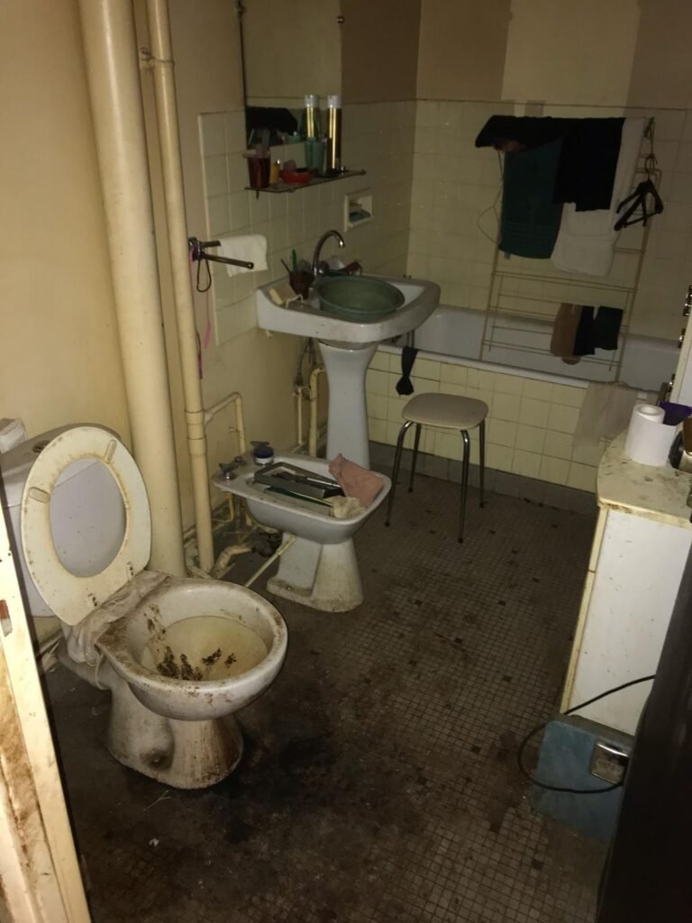 insalubrite-diogene-rambervillers