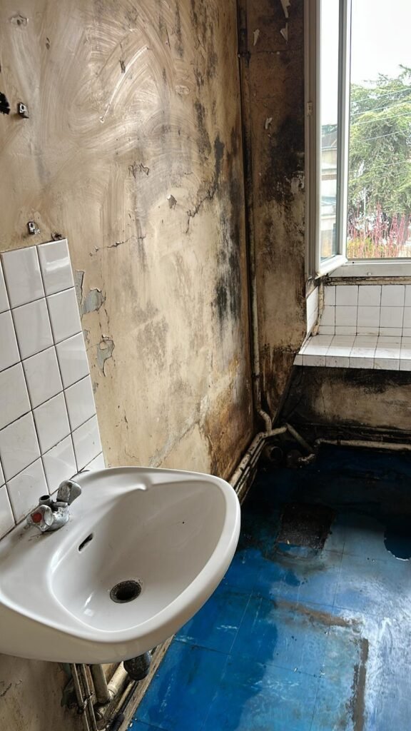 nettoyage-apres-squat-saulxures-sur-moselotte