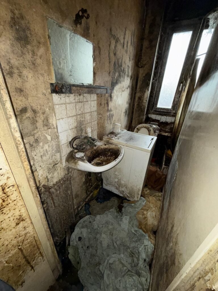 nettoyage-logement-diogene-monthureux-sur-saone