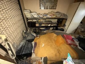 nettoyage-professionnel-insalubre-darney