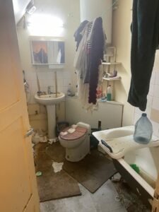 remise-en-etat-diogene-cornimont