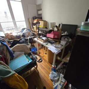 societe-diogene-le-thillot